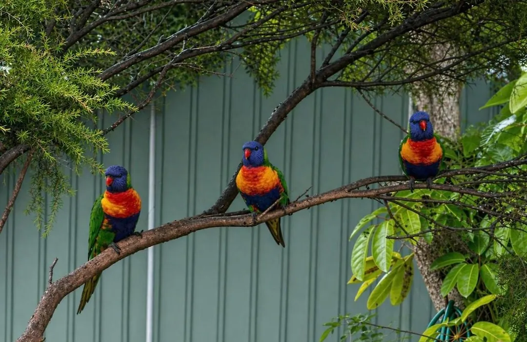 Batemans Bay Holiday Park & Hostel-1